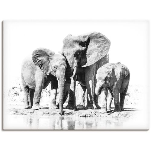 Wandbild ARTLAND "Elefantenmutter mit Kindern" Bilder Gr. B/H: 80 cm x 60 cm, Leinwandbild Elefanten Bilder Querformat, 1 St., schwarz Kunstdrucke als Alubild, Outdoorbild, Leinwandbild, Poster in verschied. Größen