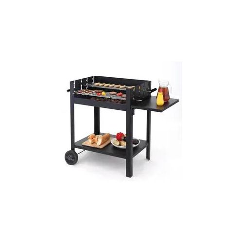 Holzkohlegrill TEPRO 