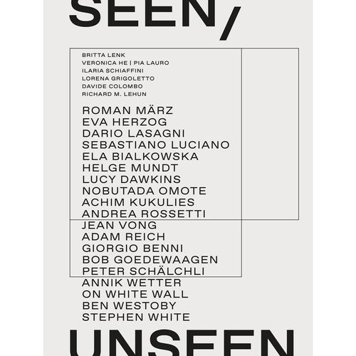 Seen/Unseen, Kartoniert (TB)