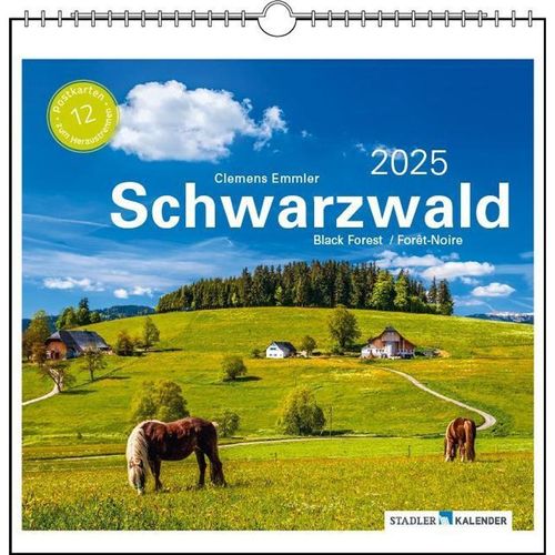 Schwarzwald 2025