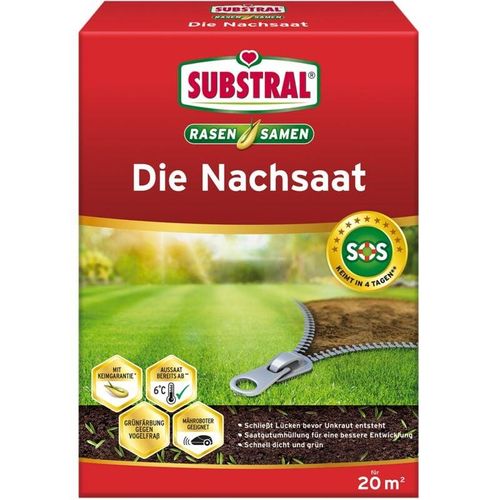 Die Nachsaat 400g - Substral