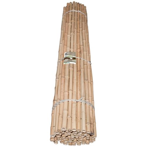 WINDHAGER Sichtschutzzaunmatten Zaunelemente natürlicher Sichtschutz in Premium-Qualität, L: 1,8 m Gr. H/L: 180cm x 1,8 m, beige (natur)