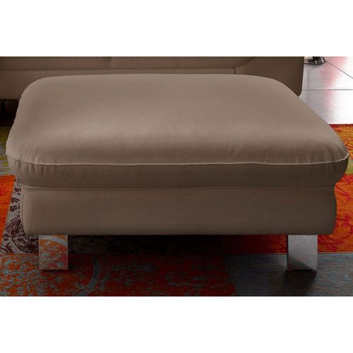 Hocker COTTA 