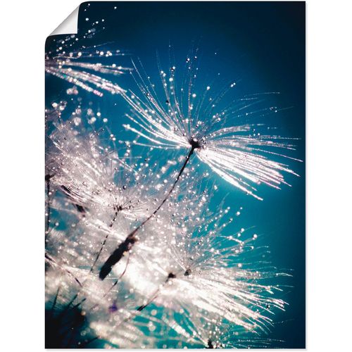 Artland Wandbild »Pusteblume Kristallschirmchen«, Blumen, (1 St.), auf Keilrahmen gespannt