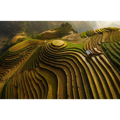 Papermoon Fototapete »ĐAO TẤN PHAT, MU CANG CHAI - VIETNAM«, Vliestapete, hochwertiger Digitaldruck, inklusive Kleister