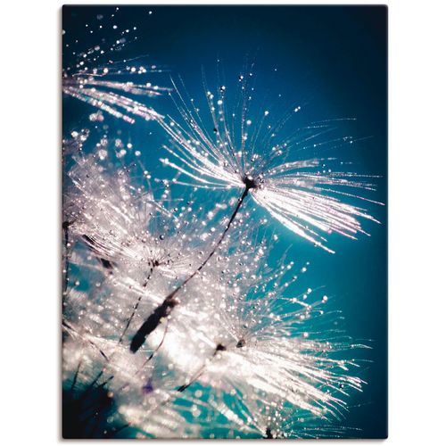 Artland Wandbild »Pusteblume Kristallschirmchen«, Blumen, (1 St.), auf Keilrahmen gespannt