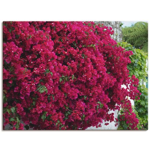 Artland Leinwandbild »Blumen«, Blumen, (1 St.), auf Keilrahmen gespannt