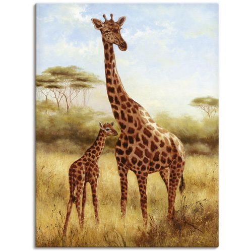 Artland Leinwandbild »Giraffe«, Wildtiere, (1 St.), auf Keilrahmen gespannt