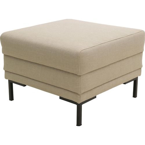 Hocker 