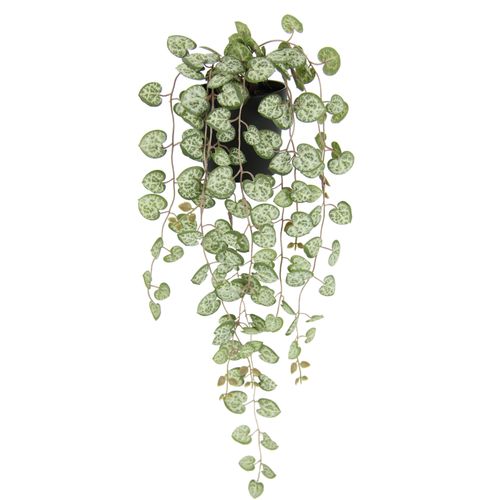I.GE.A. Kunstpflanze »Kunstpflanze Leuchterblume Hängende Pflanzen künstlich«, Hänger Busch Ranke Girlande Blumenampel Deko Grünpflanze Kunstblumen