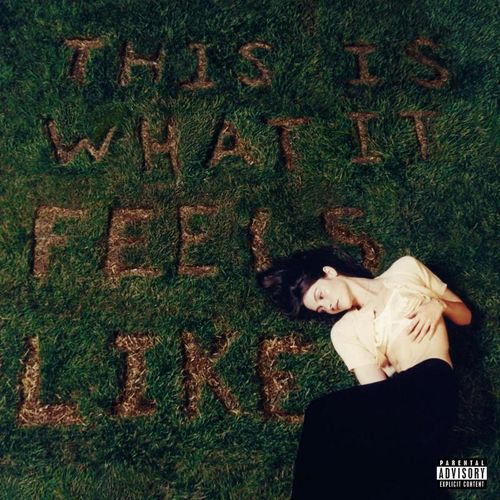 This Is What It Feels Like - Gracie Abrams. (LP)
