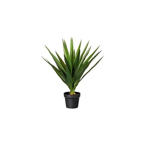 Creativ green Künstliche Zimmerpflanze »Yucca« Creativ green grün