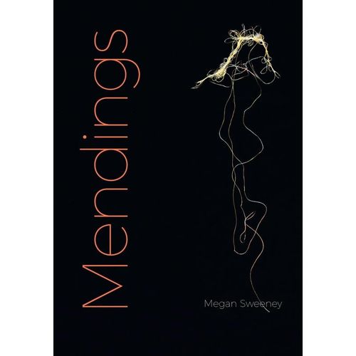 Mendings - Megan Sweeney, Kartoniert (TB)