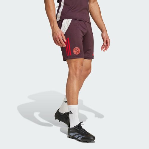 FC Bayern München Tiro 24 Trainingsshorts