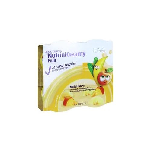 Nutrini Creamy Fruit Sommerfrüchte 4X100 g