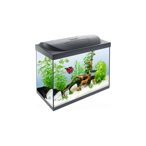 Tetra Starter Line LED 80L Black