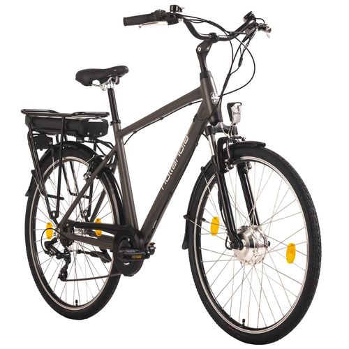 Hollandia E-Citybike Herren 28'' Hollandia Zagon Grau 6 Gänge