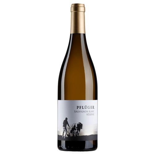 Pflüger Sauvignon Blanc Réserve, Trocken, Pfalz, Pfalz, 2022, Weißwein