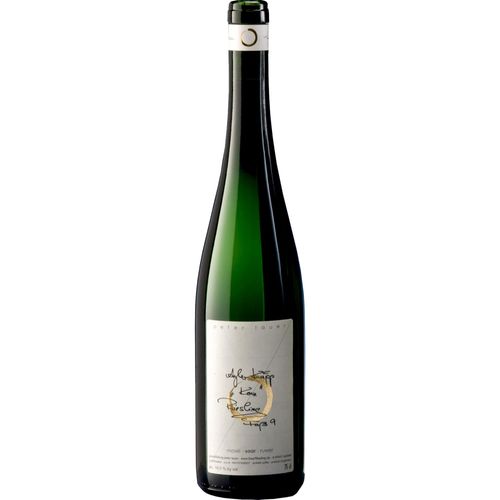 Riesling Kern Ayl Kupp Fass 9, feinherb, Mosel, Mosel, 2021, Weißwein