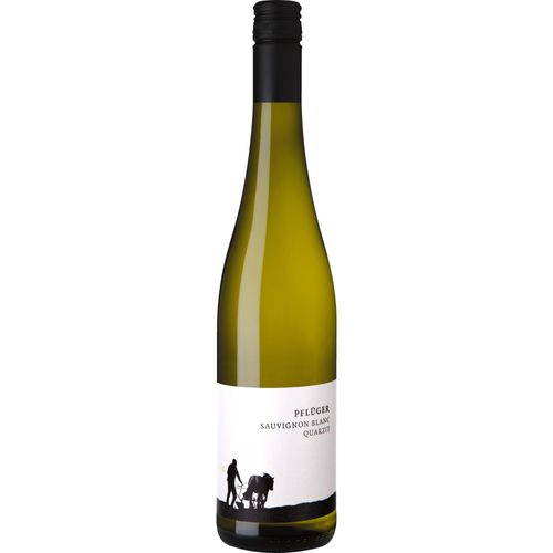 Pflüger Sauvignon Blanc vom Quarzit, Trocken, Pfalz, Pfalz, 2022, Weißwein