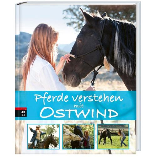 Pferde verstehen mit Ostwind / Ostwind Sachbücher Bd.1 - Almut Schmidt, Gebunden