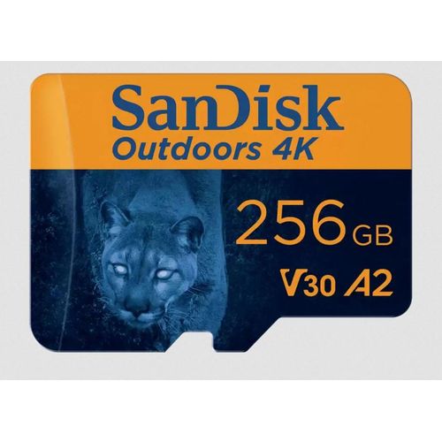 SanDisk Outdoors 4K microSDXC-UHS-I Karte 256GB