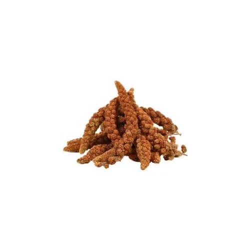 2 kg Lyra Pet® Kolbenhirse rot