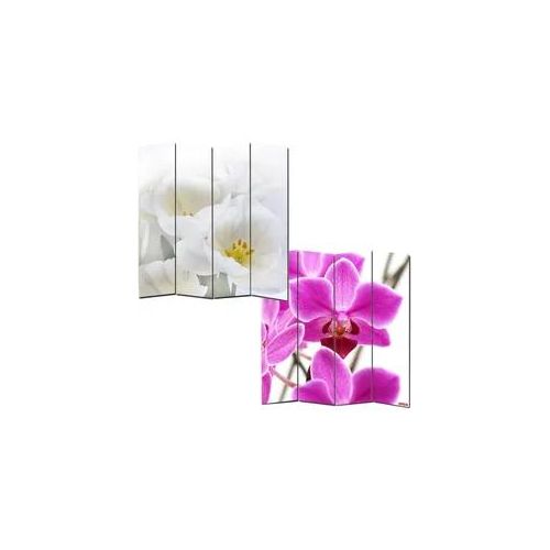 Foto-Paravent Paravent Raumteiler Trennwand M68 ~ 180x160cm, Orchidee