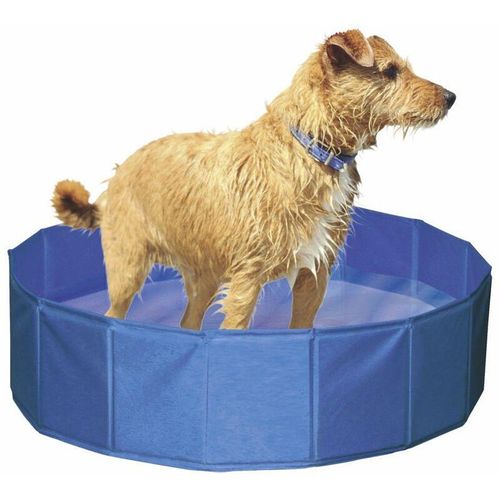 Kerbl Hundepool 120 cm Pool für Hunde aus Kunststoff Hähe 30 cm Ã¸ 120 cm