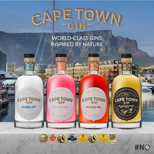 Cape Town Gin Company Cape Town Gin - Quartett (4x700ml) 2.8l