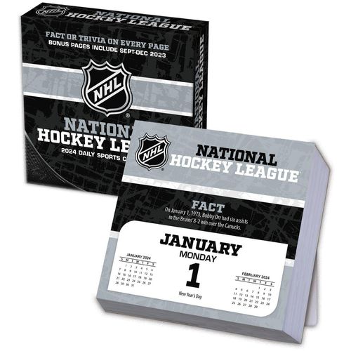 NHL All Team - Abreißkalender Kalender multicolor