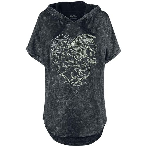 Harry Potter Forbidden Forest - Thestral T-Shirt grau in L