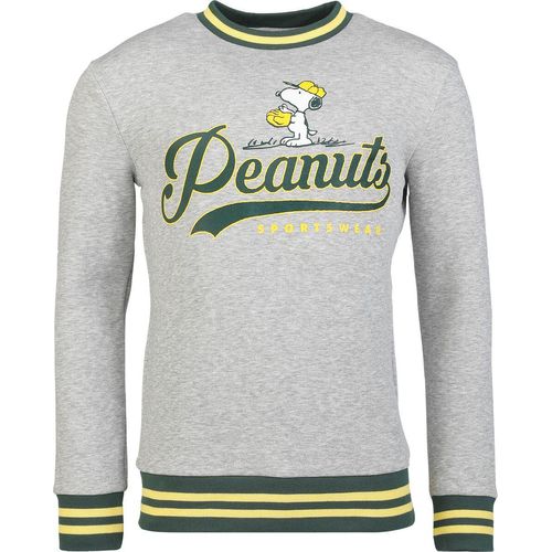 Peanuts Peanuts - Snoopy Sweatshirt multicolor in XL