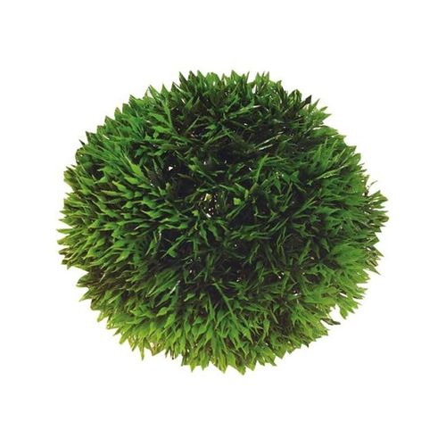 Dohse Plant Ball 13 cm