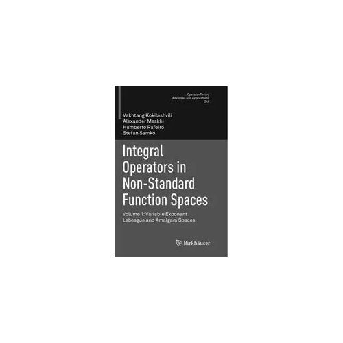 Integral Operators In Non-Standard Function Spaces - Vakhtang Kokilashvili Alexander Meskhi Humberto Rafeiro Stefan Samko Kartoniert (TB)