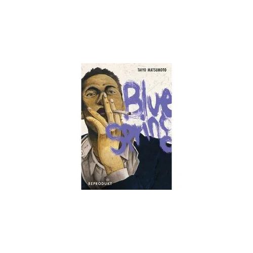 Blue Spring - Taiyo Matsumoto Kartoniert (TB)