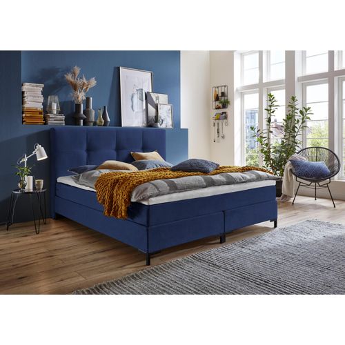 Boxspringbett ATLANTIC HOME COLLECTION 