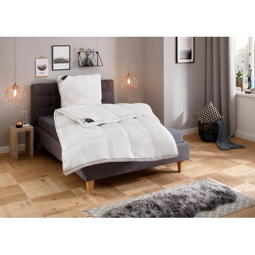 Kunstfaserbettdecke + Kopfkissen HANSE BY RIBECO 
