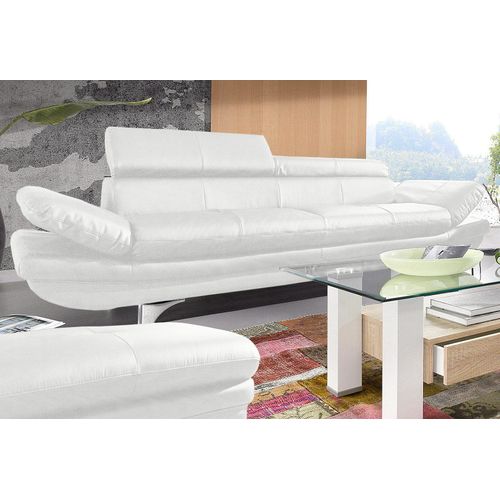 3-Sitzer COTTA 