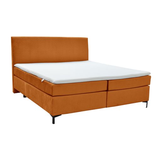 Boxspringbett ALINA 