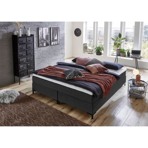 Boxspringbett ATLANTIC HOME COLLECTION 