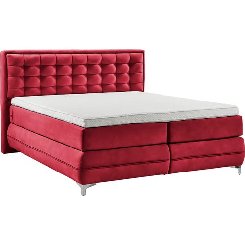 Boxspringbett 
