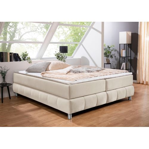 Boxspringbett ANDAS 