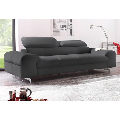 3-Sitzer COTTA 