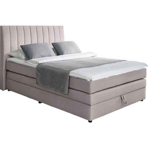 Boxspringbett ALINA 