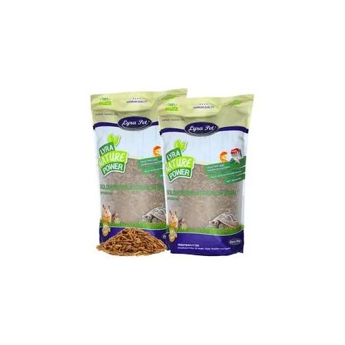 5 kg Lyra Pet® Soldatenfliegenlarven