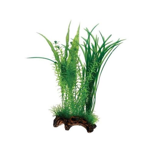 Dohse Flora Root 1 L 30 cm