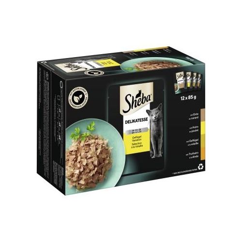 Sheba Delikatesse in Gelee 12x85g