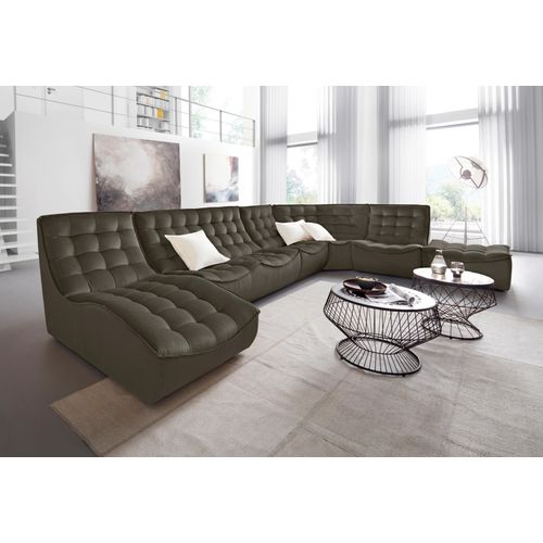 Sessel CALIA ITALIA 