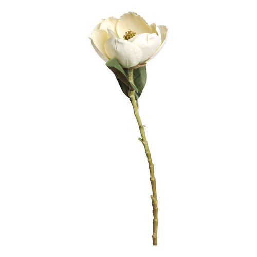 Chic Antique Fleur Magnolia, creme